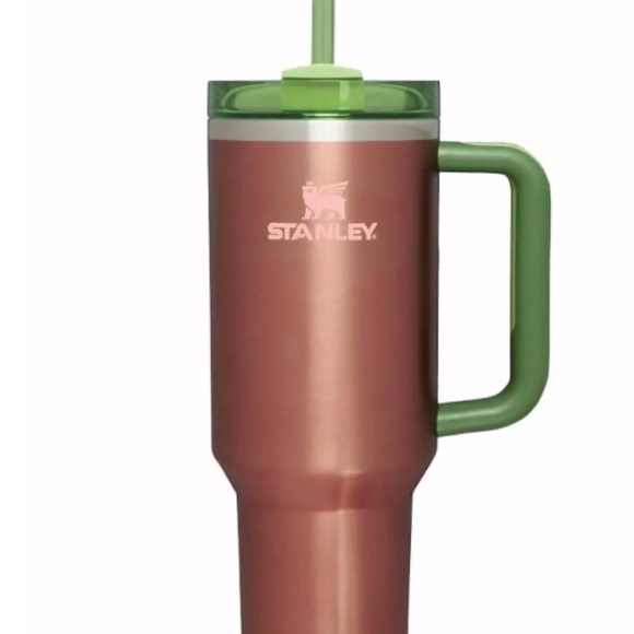 Stanley cup watermelon moon shine brand new - Picture 1 of 2